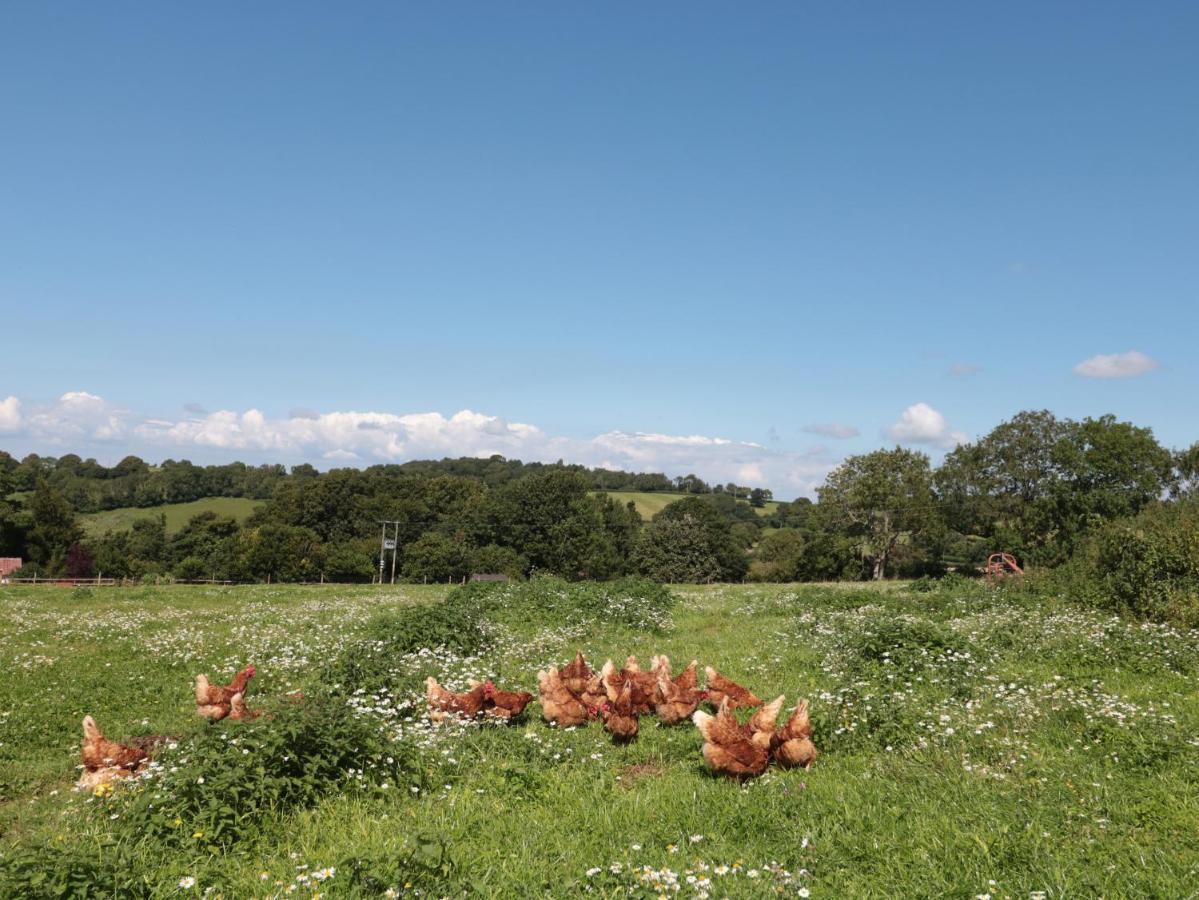 The Cider Shed Apartment Winscombe Luaran gambar